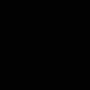 Meet your Posher, Neysha